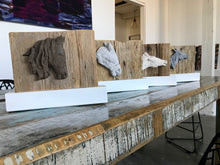 Lade das Bild in den Galerie-Viewer, Pferd grau