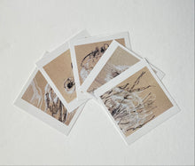Lade das Bild in den Galerie-Viewer, Postkarten Set Naturzeichnungen See
